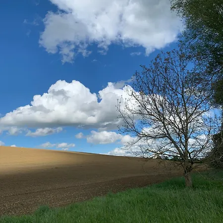 Hoerger Biohotel Und Tafernwirtschaft 3* Kranzberg