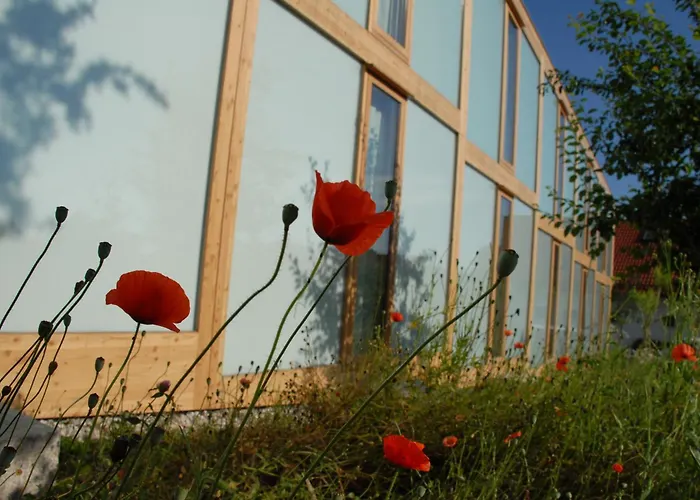Ξενοδοχείο Hoerger Biohotel Und Tafernwirtschaft Kranzberg