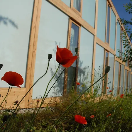 Hotel Hoerger Biohotel Und Tafernwirtschaft Kranzberg