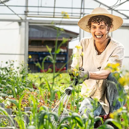 Hörger Biohotel Und Tafernwirtschaft Hotel Kranzberg