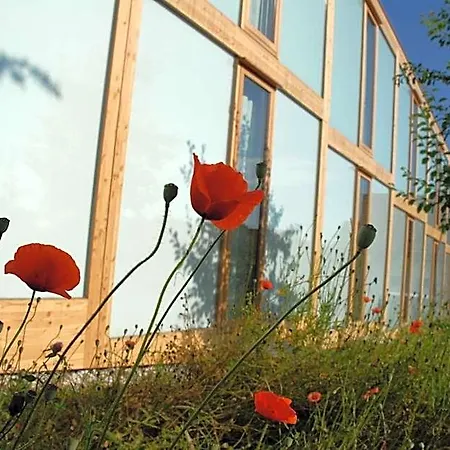 Hoerger Biohotel Und Tafernwirtschaft Hotel